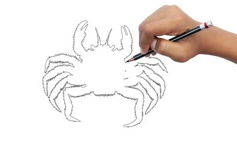 Close-up of a student using a pencil . Stock Photos