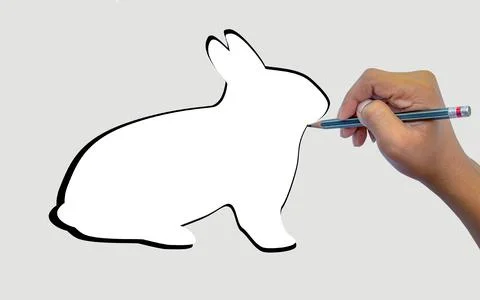 Close-up of a student using a pencil to practice drawing a rabbit on gray pap Stock Photos