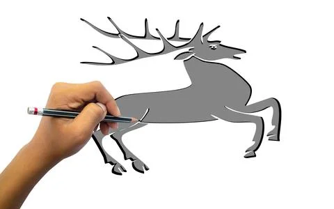 Close-up of a student using a pencil to practice drawing reindeer animal on w Stock Photos