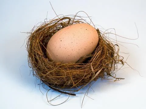 Close-up studio shot of a chicken egg in a little nest, captured in a farm ne Stock Photos