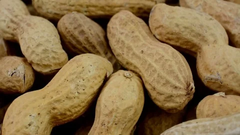 Close-up studio shot footage of peanuts, turning Stock Footage 80428245
