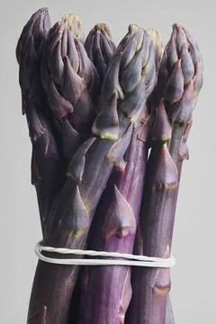 Close up studio shot of a small bunch of purple asparagus against gray Stock Photos