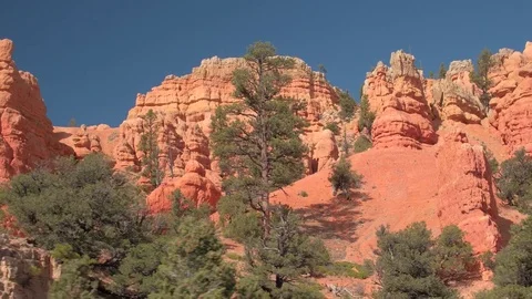 CLOSE UP: Stunning red rock hoodoo formations in Bryce Canyon National Park Stock Footage