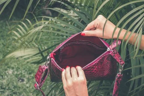 Close up of stylish snakeskin luxury python handbag on a tropical background. Foto stock