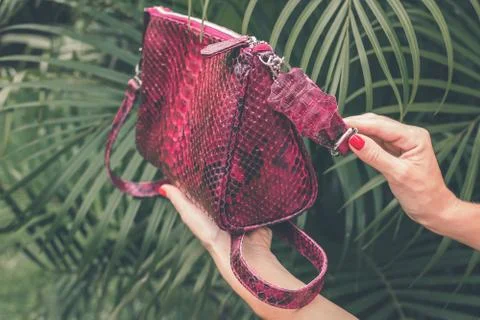 Close up of stylish snakeskin luxury python handbag on a tropical background. Photos