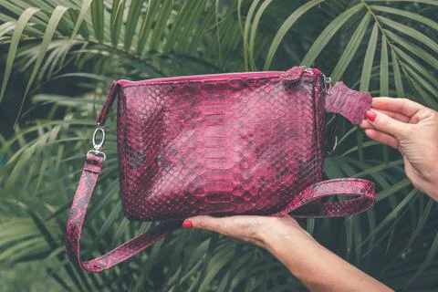 Close up of stylish snakeskin luxury python handbag on a tropical background. 写真素材