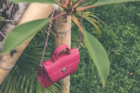 Close up of stylish snakeskin luxury python handbag on a tropical background. 写真素材