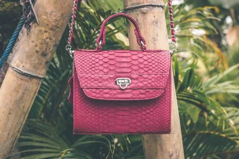 Close up of stylish snakeskin luxury python handbag on a tropical background. Stock Photos