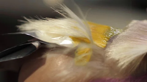 Close-up of stylist hands using professional hairbrush and dyeing hair roots Stock Footage 125727065