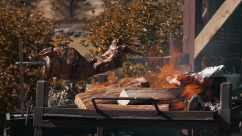 Close Up of Succulent Meat Roasting on a Spit Over Burning Wood Stock Footage 326004661