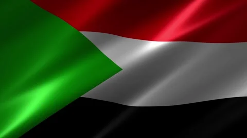 Close up of the Sudan flag blowing in the wind Stock Footage 348689440