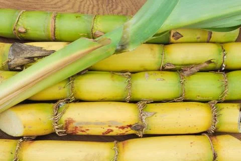 Close up sugar and sugarcane Stock Photos