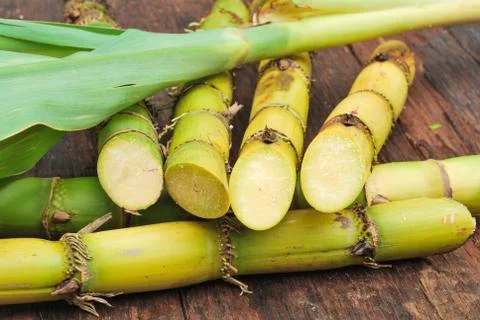 Close up sugarcane Stock Photos