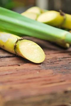 Close up sugarcane Stock Photos