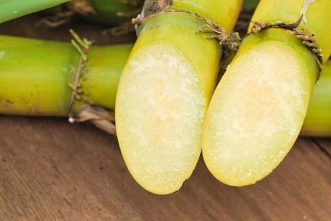 Close up sugarcane Stock Photos