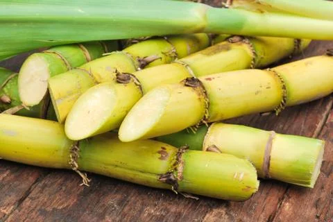 Close up sugarcane Stock Photos