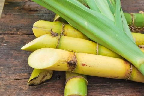 Close up sugarcane Stock Photos