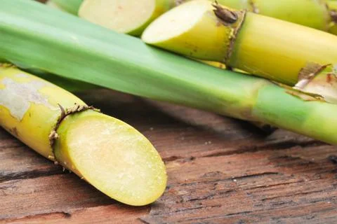 Close up sugarcane Stock Photos