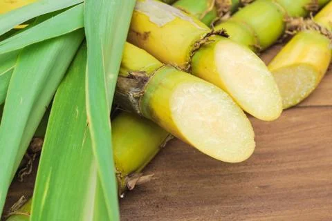 Close up sugarcane Stock Photos