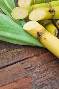 Close up sugarcane Stock Photos