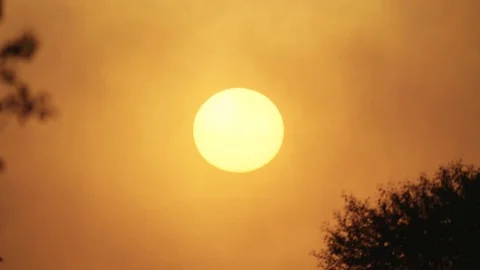 Close up of the sun during sunset Stock Footage 90679363