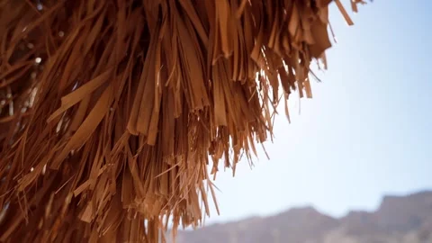 Close up sun rays shine through the edge of the straw roof at sunset. Desert Stock Footage 253418720