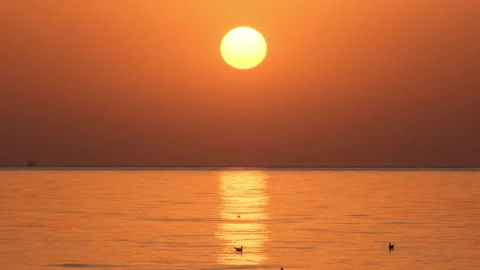 Close-up of sun rising sun from the sea horizon Stock Footage 220151153