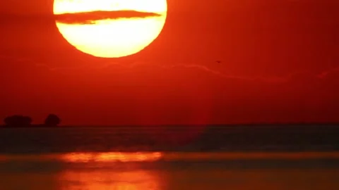Close-up Sun Sets At Sunset In The Sea. Birds Fly By Stock Footage 166922266
