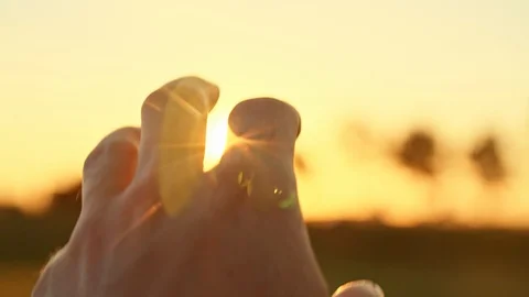 Close Up Sun Shining Through the Fingers Video stock 120554067