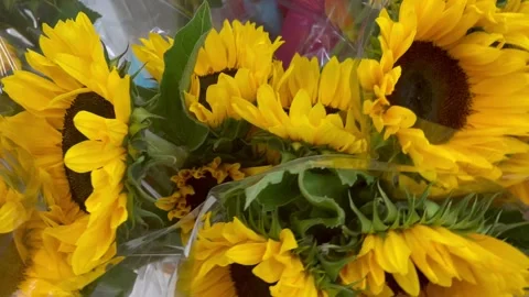 Close-up Sunflower Bouquet Video stock 246159741