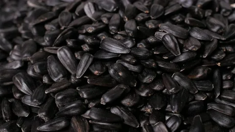 Close up on sunflower seeds. Stock Footage 152139461