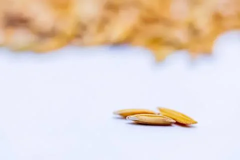 Close-up of sunflower seeds on white surface Stock Photos