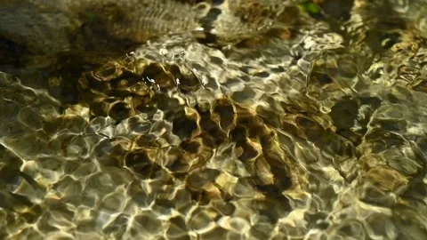 Close up of sunlight effects of the water in a mountain riverbed (slow motion) Stock Footage 211745984