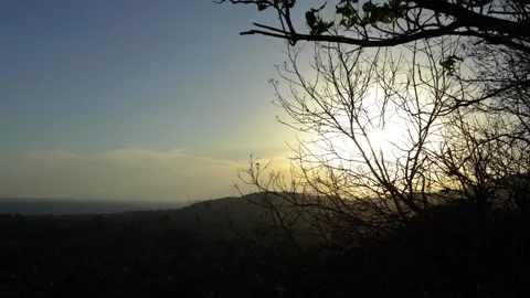 Close-Up of Sunlight Filtering Through Tree Branches and Leaves Stock-Footage 339402541