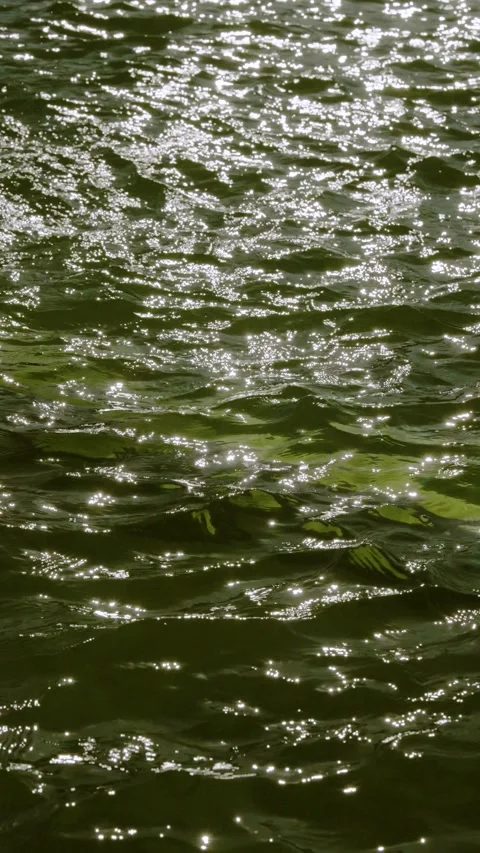 Close-up sunlit green water surface with short choppy ripples and sparkling high Stock Footage 345400266