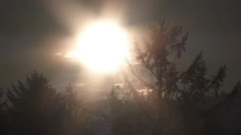 Close Up Sunrise Shining Behind Forest Trees Timelapse Stock-Footage 122335983
