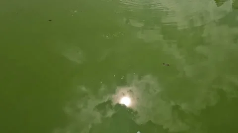 Close up of the sun's shadow on the surface of moving lake water Stock-Footage 307436149