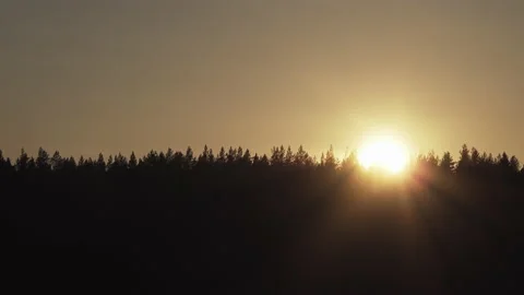 Close up Sunset behind absolutely black silhouettes of high pines and spruces Stock Footage 139423258