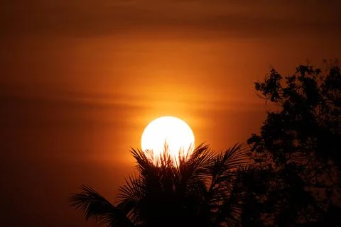 Close up of sunset behind coconut trees Stock Photos