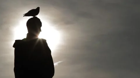 Close Up Sunset Shot of Simon Bolivar's Statue Stock Footage 42267331