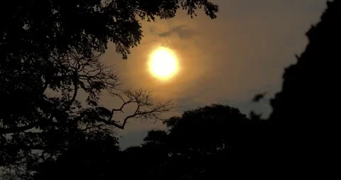 Close Up Sunset Timelapse Stock Footage 258781436