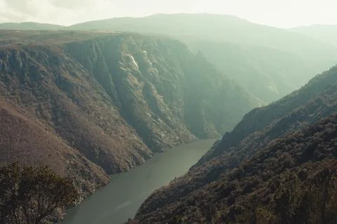 Close up of a super massive river in the middle of the forest during a spri.. Stock Photos