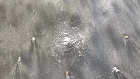 Close-up surface of beach waves flowing on gray sandy beach Stock Footage 295567549