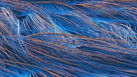 Close-up surface covered with long, hard hairs. Computer generated abstract Stock Illustration