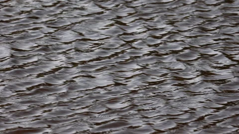 Close Up Of The Surface Of Dark Water With A Pattern Of Small, Hypnotic Ripples. Video stock 320886154