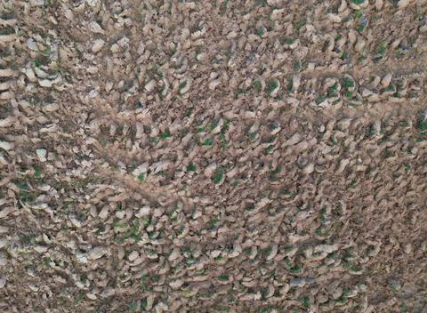 Close up of surface of dry rough stone rock soil ground texture pattern in ag Fotos Stock
