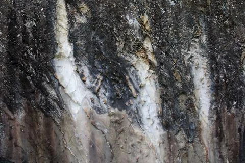 A close-up of the surface of an older rock. Stock Photos
