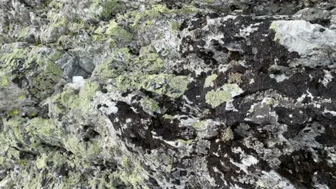 Close-up of the surface of one of the weathering pillars Video stock 179346118