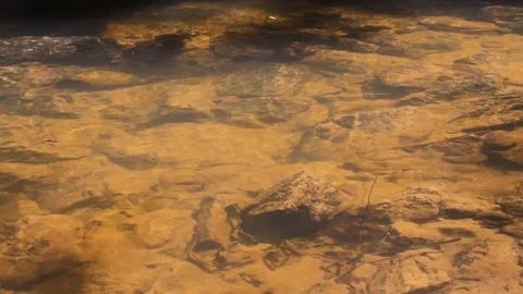 Close up surface of river with submerged stones and sand-bottomed 動画素材 104312459