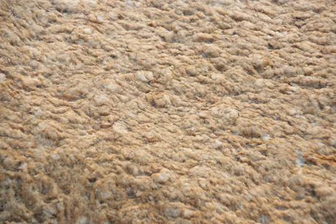 Close up surface of the rock on the beach Stock Photos